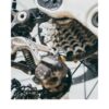 DESENGRASANTE BIO MONKEY PRODUCTS 1L