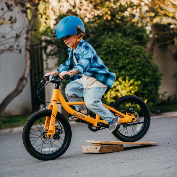 Bicicleta Roda Pro Series Aro 16 | Verde