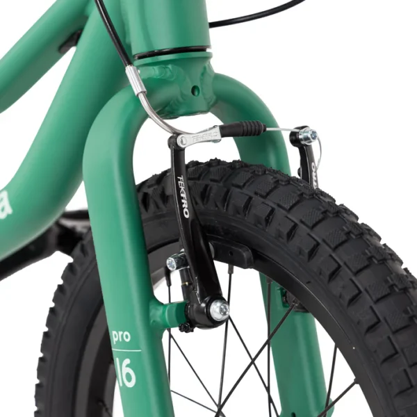Bicicleta Roda Pro Series Aro 16 | Verde