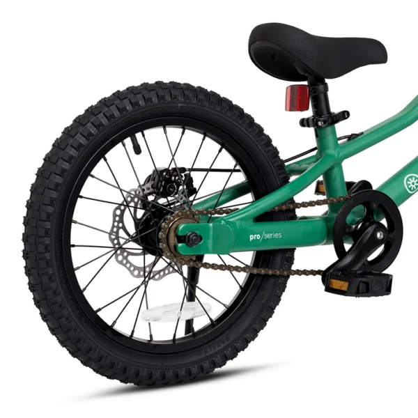 Bicicleta Roda Pro Series Aro 16 | Verde