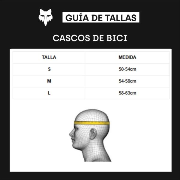 CASCO FOX MAINFRAME AMARILLO