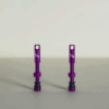 Valvulas TITLE Morada